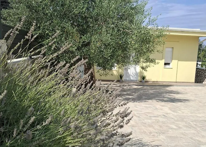 Waterflow * 빌리제